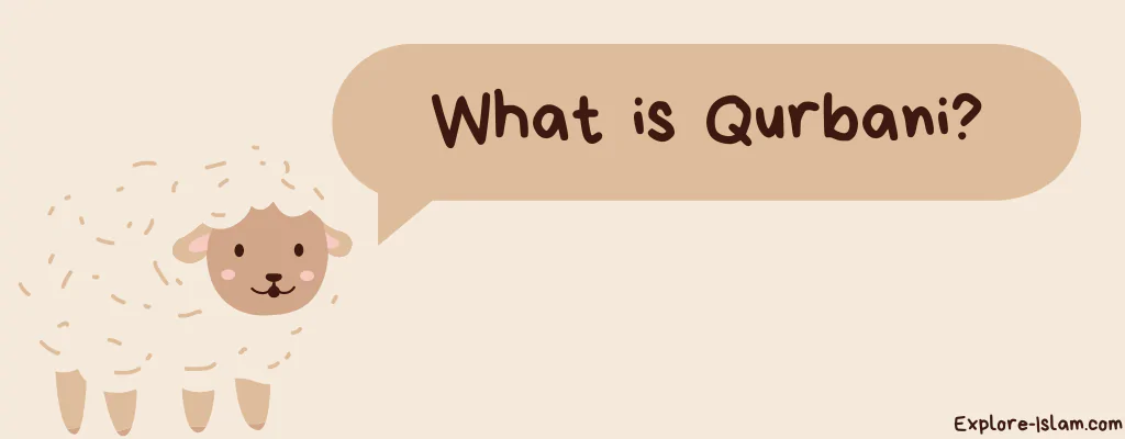 Qurban FAQ (English) – Little Quran Kids
