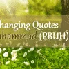 Spring life changing quotes by Muhammad (PBUH)