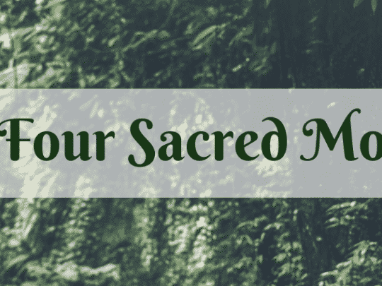 Forest background written on it The Four Sacred Months of Allah