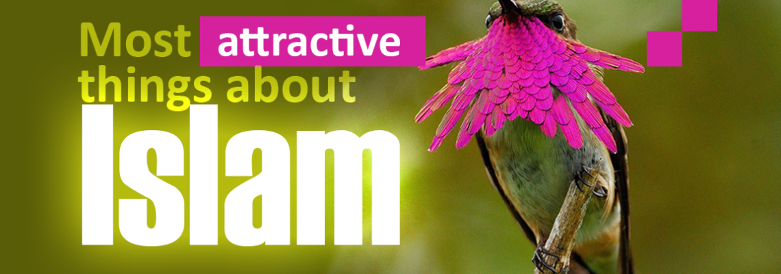 Colorful bird,10 Most attractive things about Islam