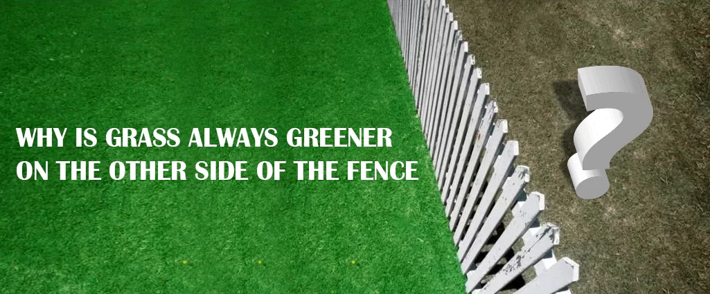 Why is Grass Always Greener on the Other Side of the Fence? - Explore Islam