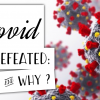 Covid-19 defeated: how & why