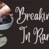 Breaking Fast In Ramadan