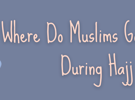 Where do Muslims Go and Do During Hajj