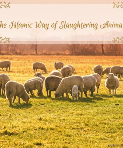 the islamic way of slaughtering animals