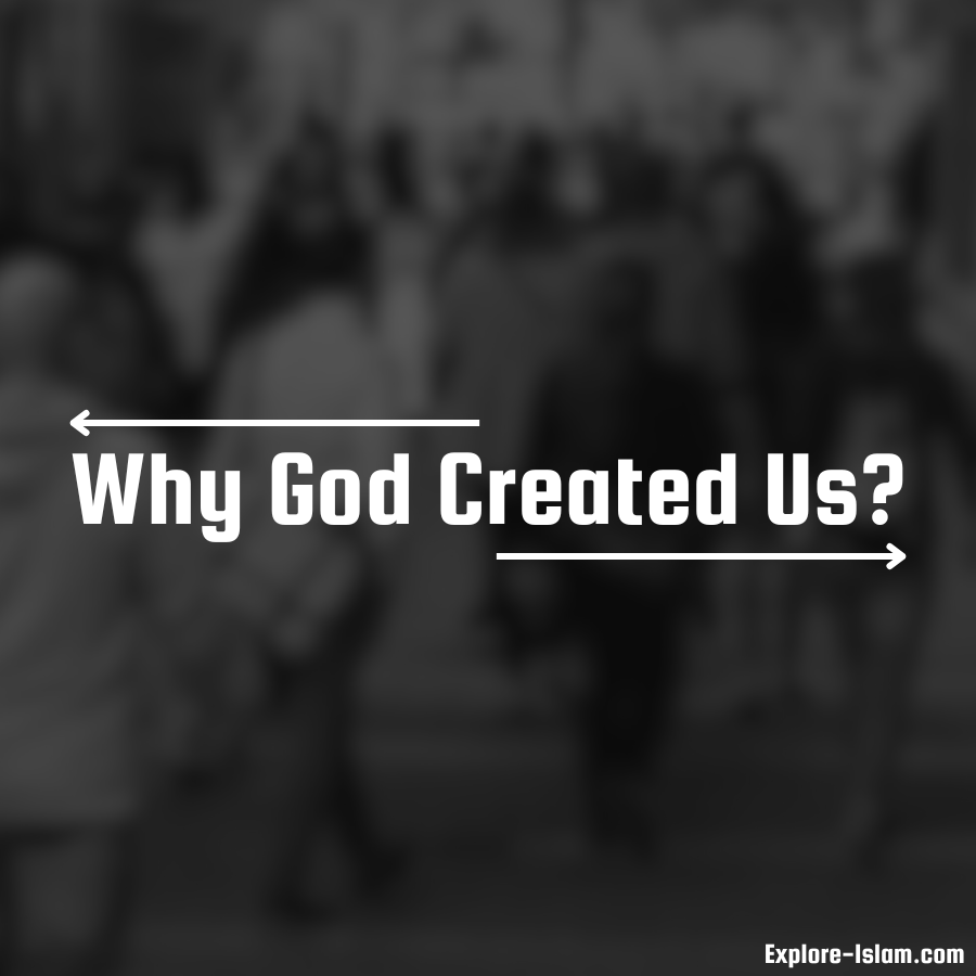 why God created us?