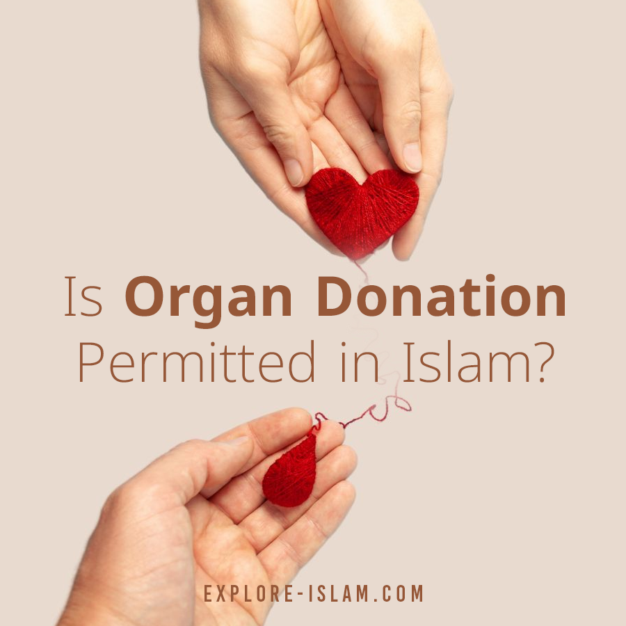 Does Islam Believe In Organ Donation