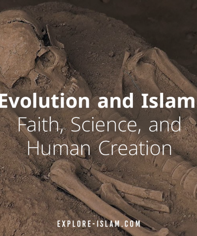 Does Islam Believe in Evolution
