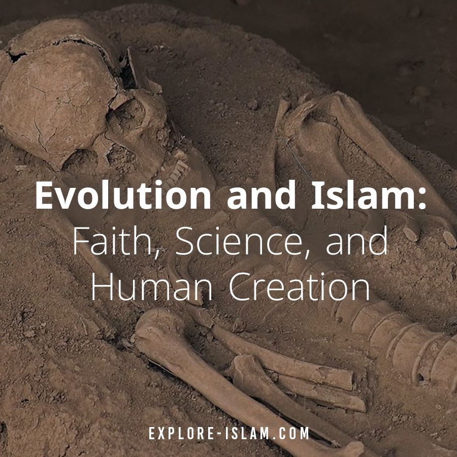 Does Islam Believe in Evolution