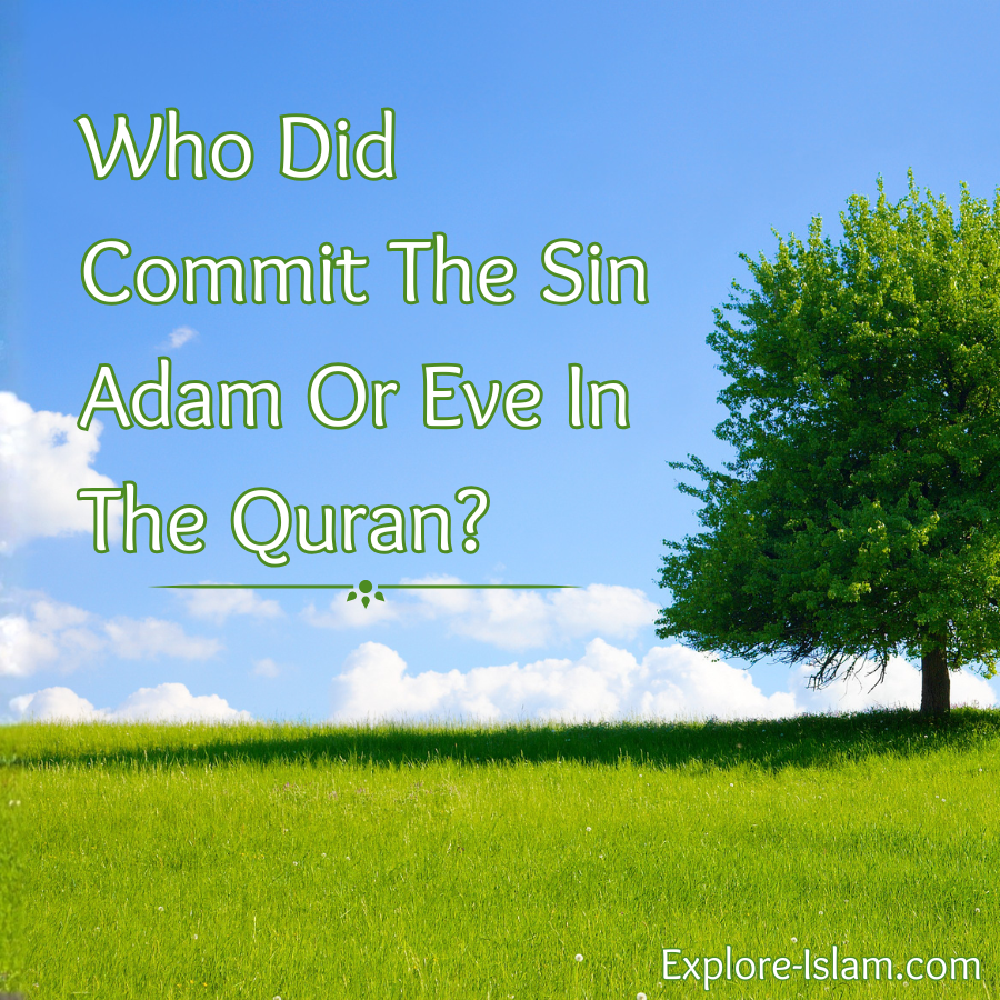 Who Did Commit the Sin Adam or Eve in The Quran?